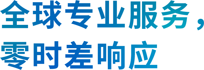 全球专业服务, 零时差响应