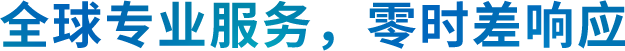 全球专业服务, 零时差响应
